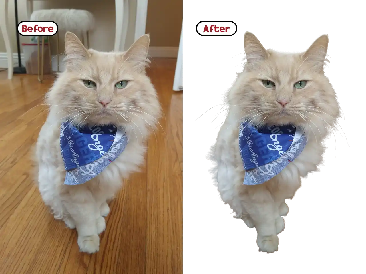 cat masking image editing services graphinery
